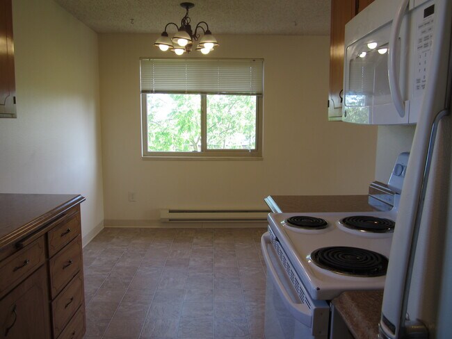 Dining area facing South - 617 N 49th St
