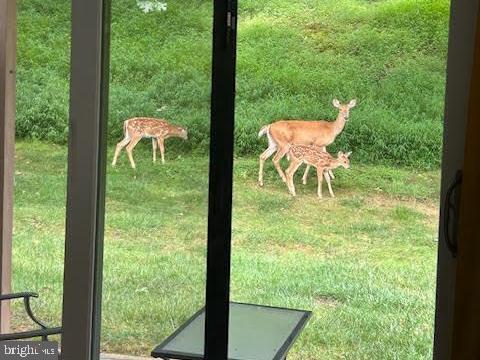 Foto del edificio - 28 Flintlock Ln