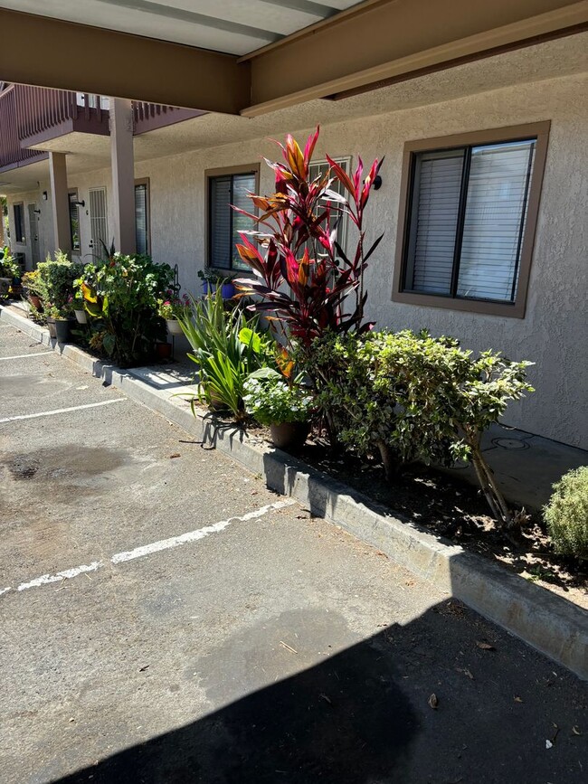 Foto del edificio - Palms Apartments San Marcos 2 bed 2 bath