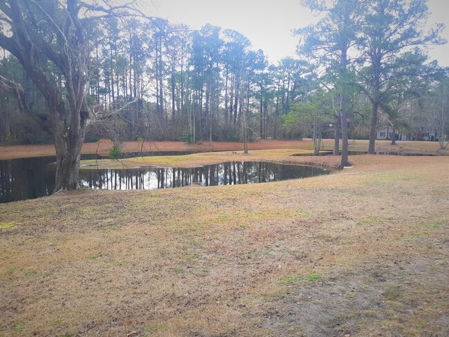 Building Photo - 804 Gull Ln