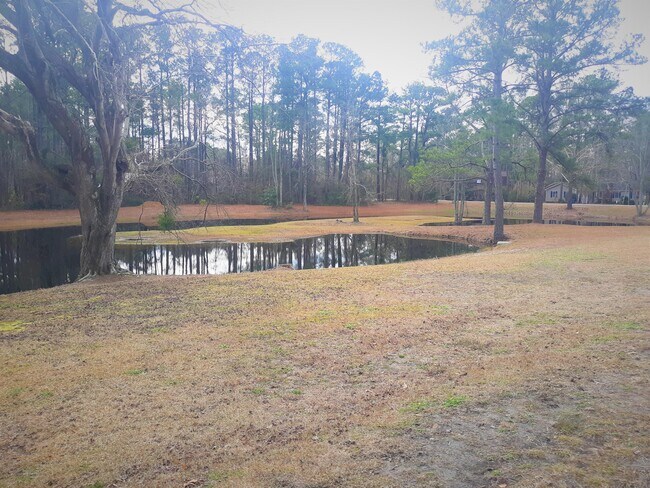 Foto del edificio - 804 Gull Ln