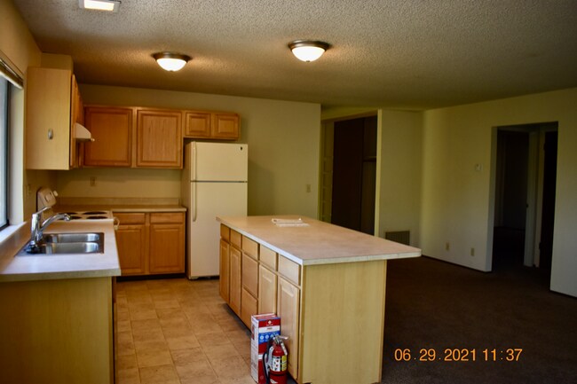 Building Photo - 60 Shannon Ct