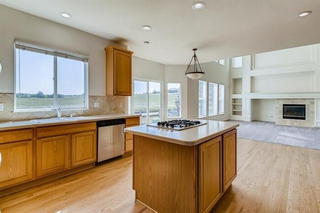 Building Photo - 11402 S Birchwood Ct, Parker, CO, 80138