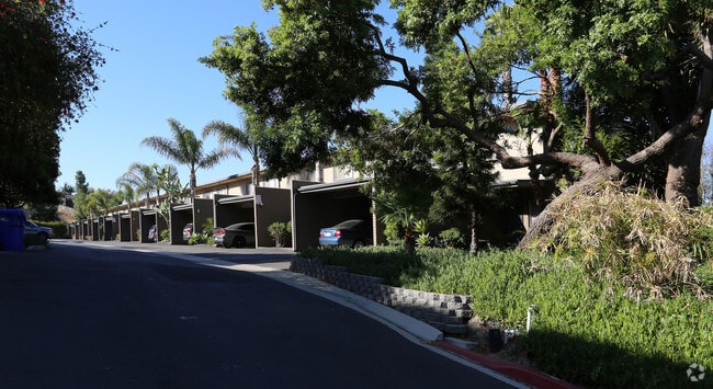 Building Photo - Ocean View Terrace Apartments