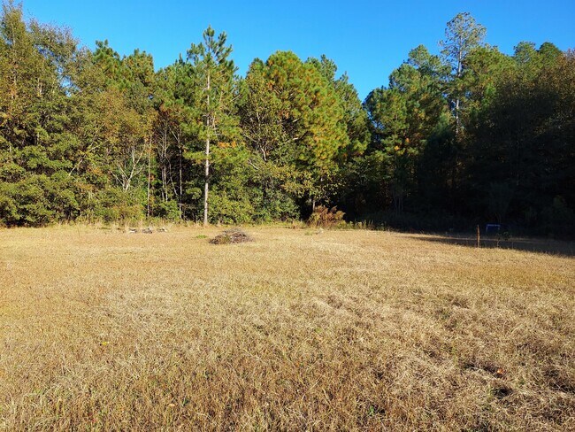 Foto del edificio - 161 Suzanne Ct