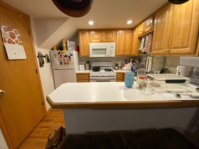 Foto del edificio - 867 W Buckingham Pl