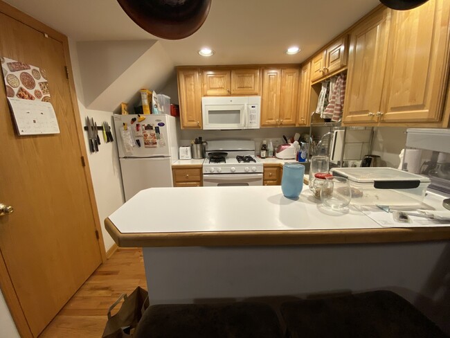 Building Photo - 867 W Buckingham Pl