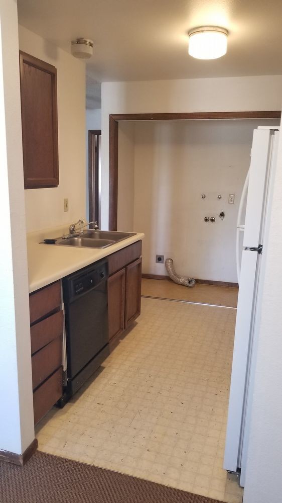 Building Photo - downstairs 2 bed 1 bath