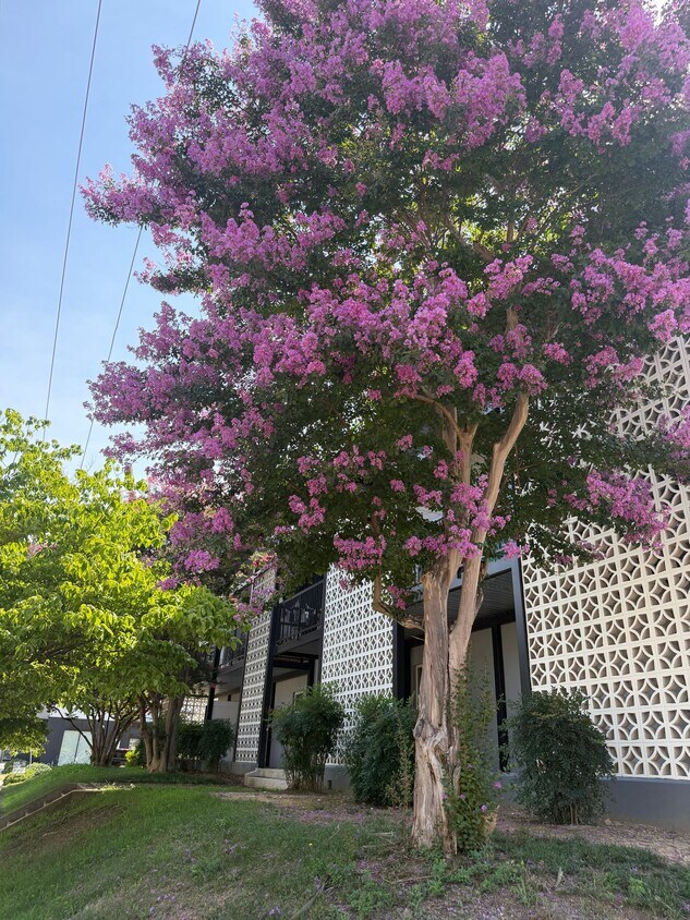 Foto del edificio - 1111 N Thompson St