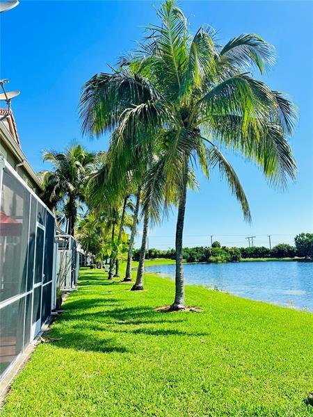 Foto principal - 1451 Sorrento Drive Apt #1, Weston, FL 333...