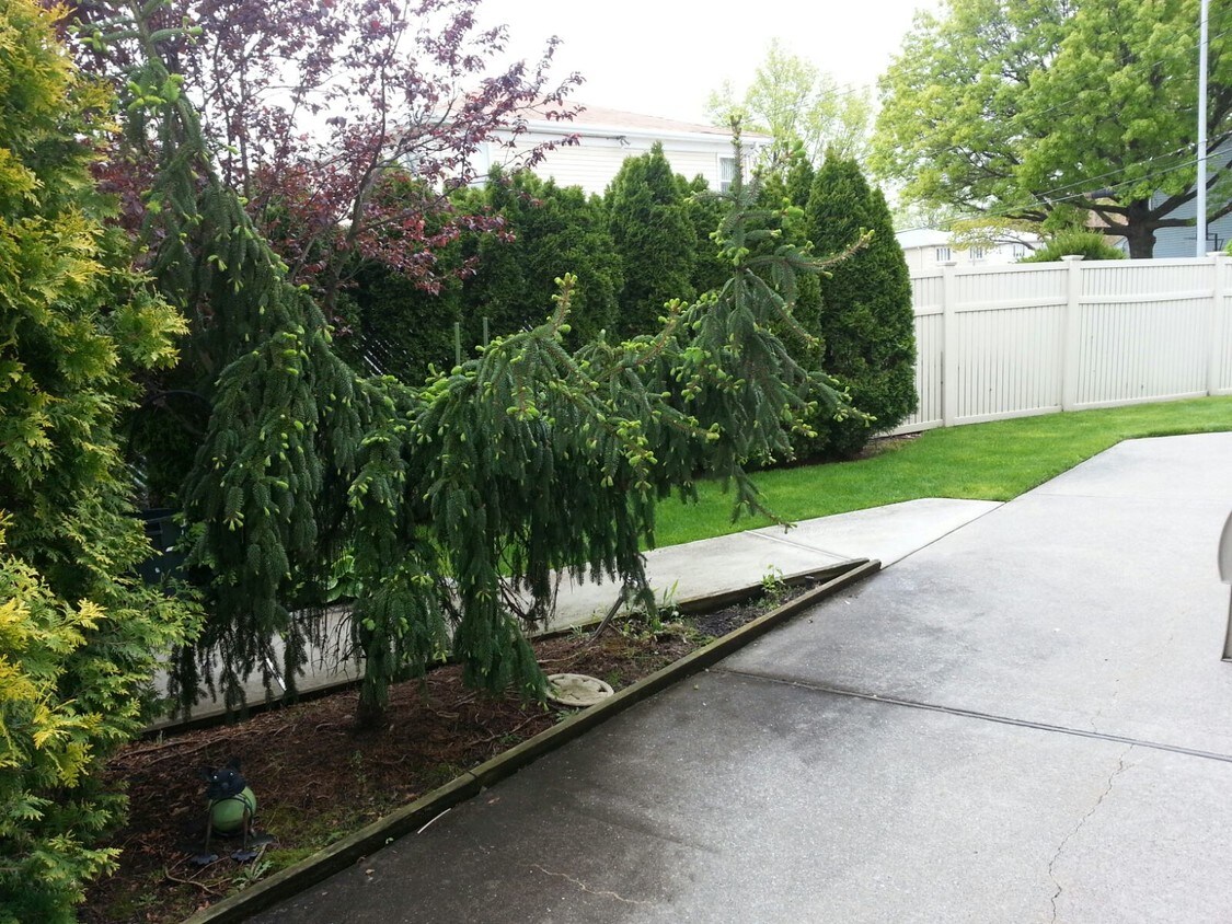 Entrada - 93 Dawson Ct