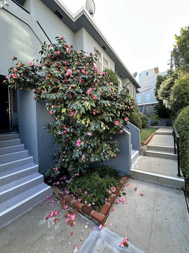 Foto del edificio - 1851 S Beverly Glen Blvd