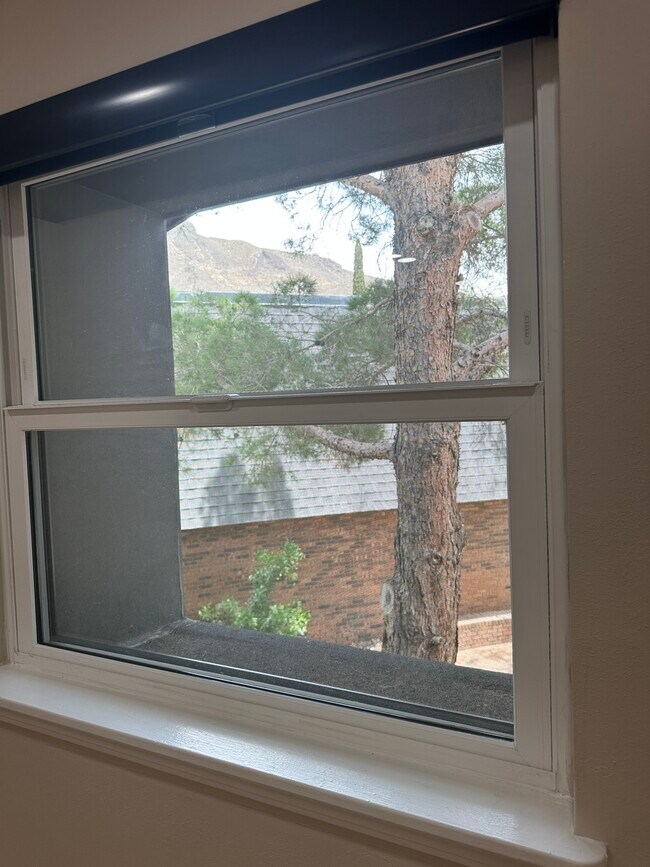 View from bedroom window - 4800 N Stanton St