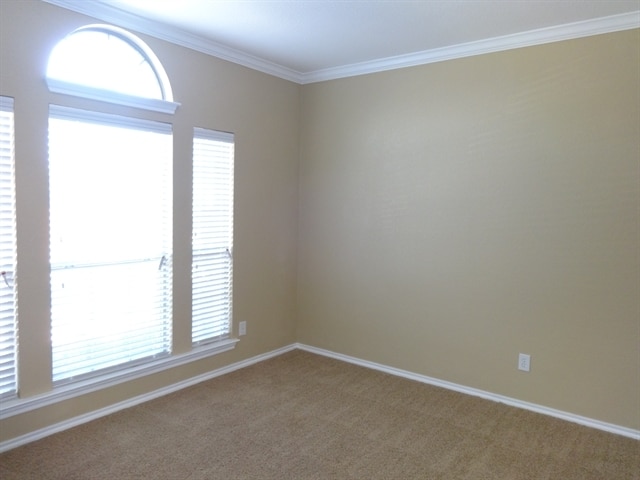 Foto del edificio - 3313 Buckthorn Ln