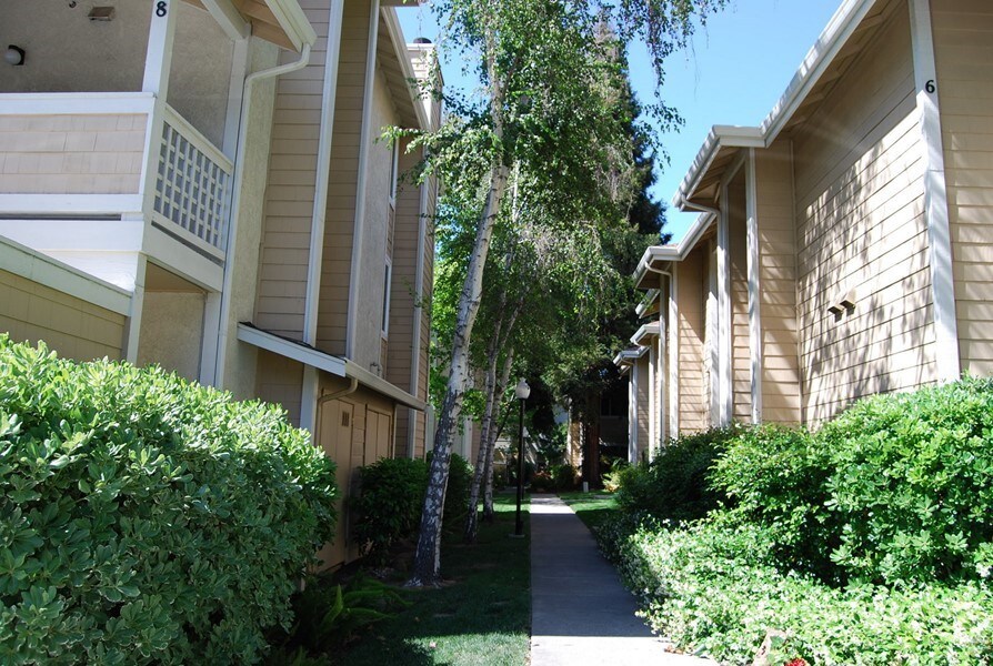 Updated One Story, Great Location! House Rental in Walnut Creek, CA