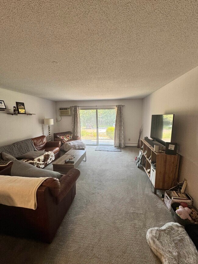 Living Room - 10311 Cedar Lake Rd