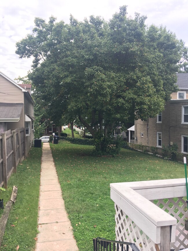 Large yard with magnolia tree - 225 E 6th Ave