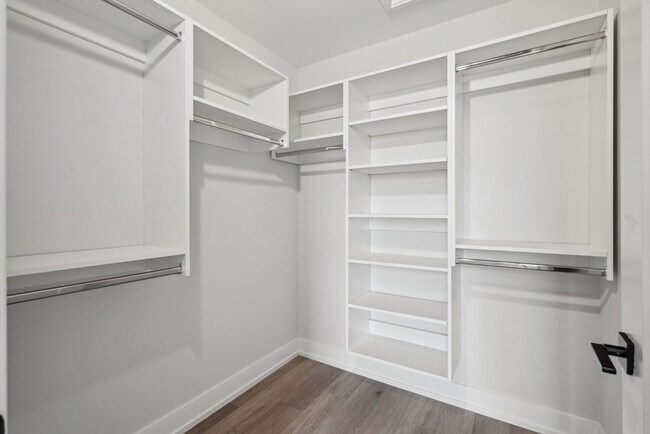 Interior Photo - The Dally