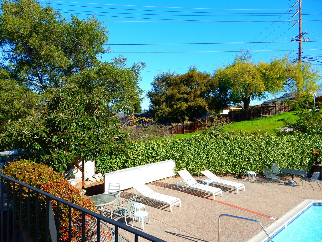 Beautiful Pool - 3573 Farm Hill Blvd