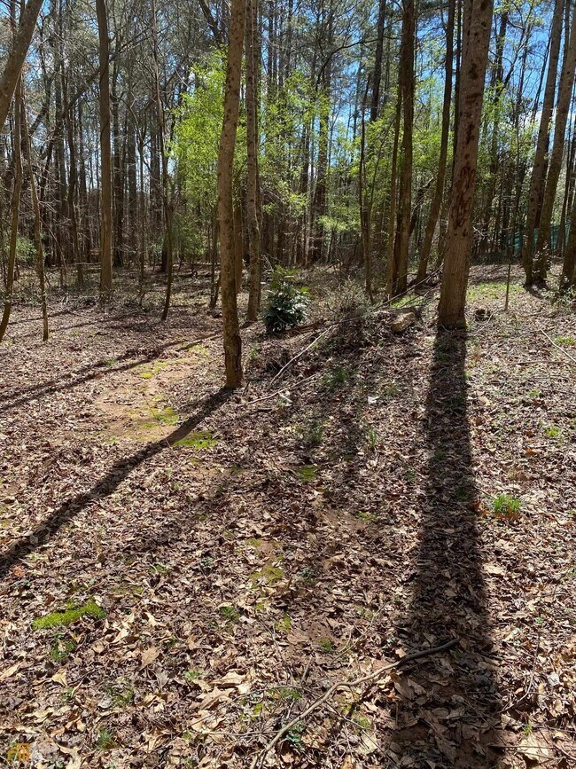 Foto del edificio - 1124 Country Club Rd