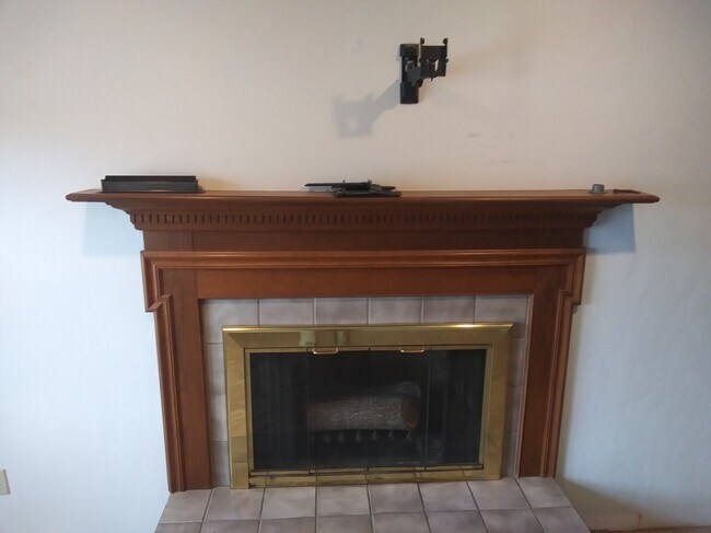 Fireplace in Living Room - 1407 Woodcreek Bnd