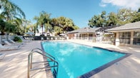This inviting outdoor amenity space centers around a generously sized swimming pool with crystal-clear blue water, accessible via stainless steel handrails and framed by a wide, open concrete deck. The deck offers ample room for lounging, lined with white and blue sling-style chaise lounges that invite residents to soak up the Florida sunshine. A separate circular hot tub is conveniently positioned nearby, enclosed within its own fenced area and accompanied by posted pool rules for safety. Shaded seating is available at a patio table fitted with a striped blue and white umbrella, creating a comfortable spot for outdoor dining or socializing. The adjacent single-story clubhouse features a hip roof with skylights and large windows, providing a bright and functional gathering space that opens directly onto the pool deck. The entire area is enclosed by white metal fencing, ensuring both safety and a clean, cohesive aesthetic. Tall palm trees, mature live oaks draped with Spanish moss, and lush tropical plantings surround the perimeter, offering natural shade and a serene, park-like atmosphere throughout the space.