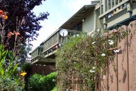 Building Photo - Leslie Drive Apartments