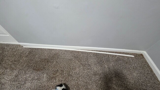 Foto del edificio - 3 Bedroom in rare to rent area!