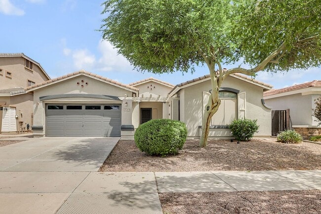 Queen Creek beauty! - Queen Creek beauty! House