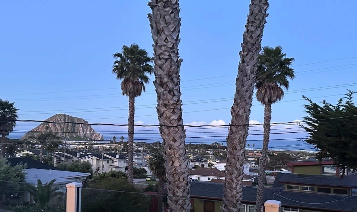 Foto principal - 2560 Juniper Ave