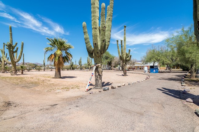 Building Photo - Apache Acres Addition