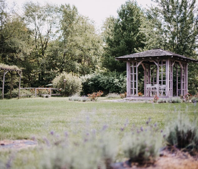 Lavender Field in Mooresville