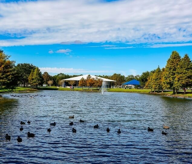 Ducks on the lake at beautiful Barber Park