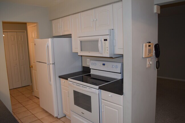 Kitchen pic2 - 24503 Olde Orchard St