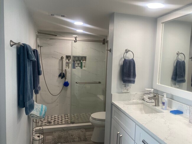 Master Shower Area - 5825 Puerta del Sol Blvd S