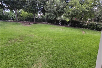 Foto del edificio - 10703 Misting Falls Trail