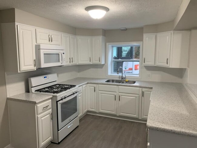 Building Photo - Completely remodeled 3 bedroom 1 bath house