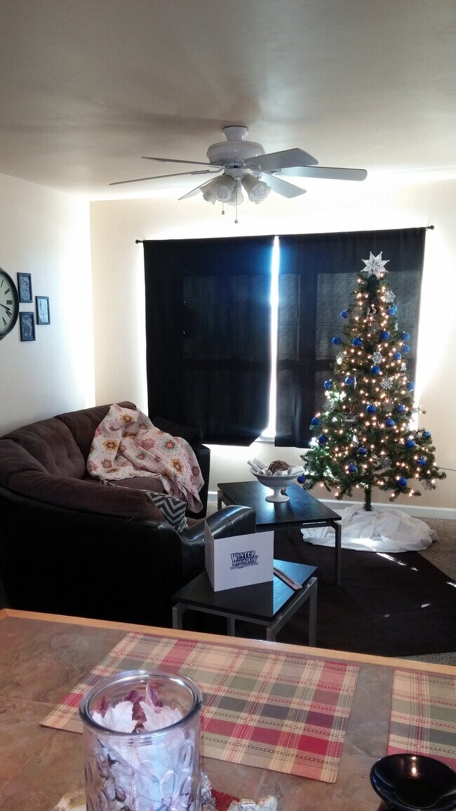 269 Vista Drive Unit Apartment, Silt, CO 81652 Apartments in Silt, CO