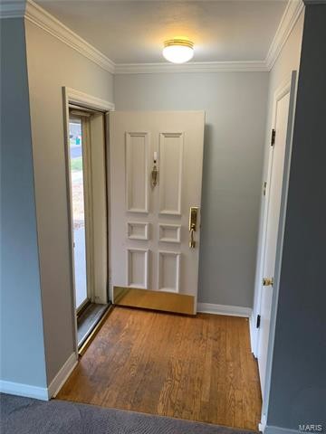 Building Photo - 437 Larkhill Ct