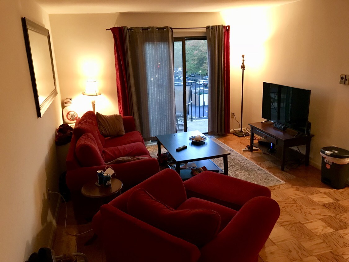 Living Room - 1117 N Randolph St
