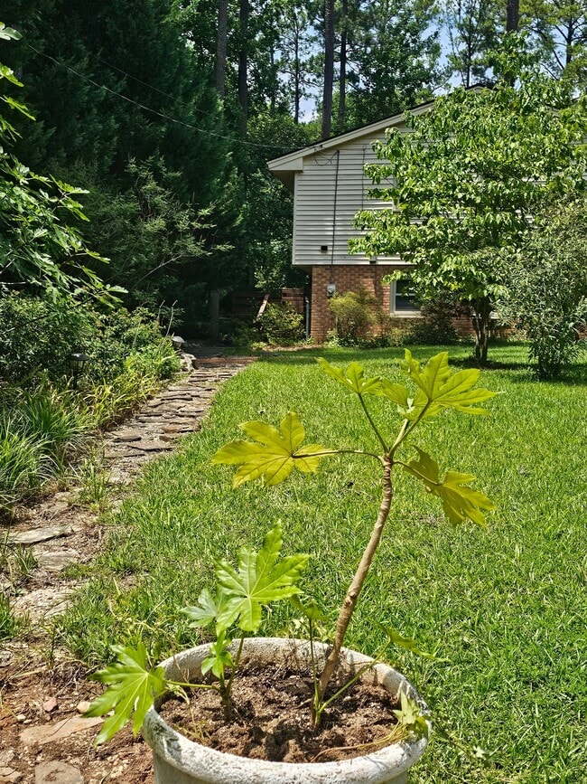 Building Photo - 3212 Fairforest Pl