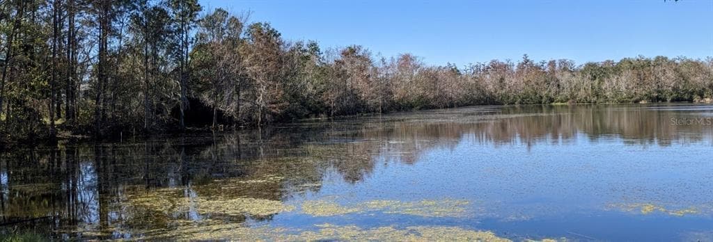 Building Photo - 8372 Fort Clinch Ave