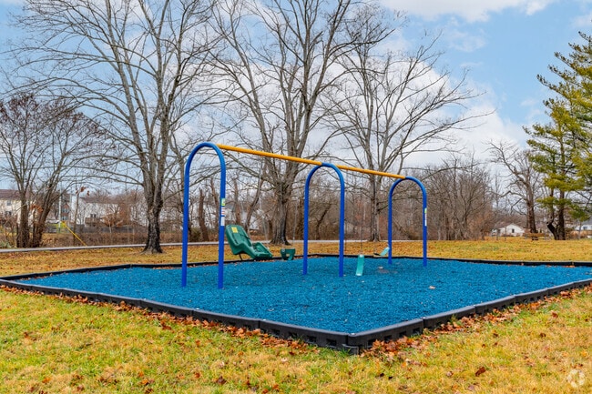 The swings are a popular summer time activity at Wilborn Park.