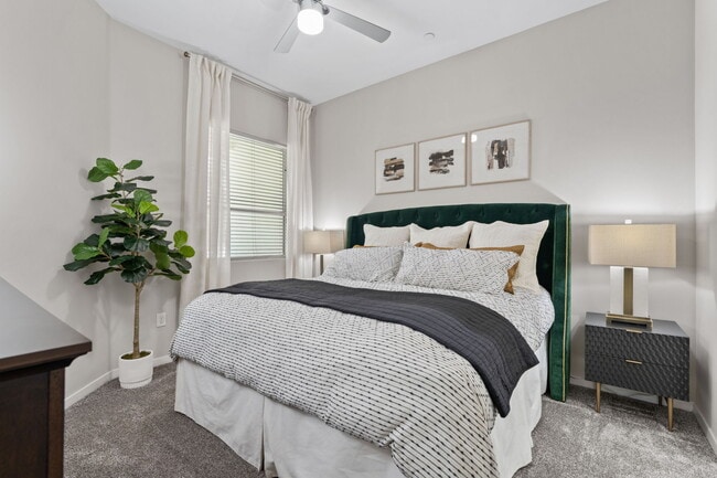 Building Photo - Axis Camelback