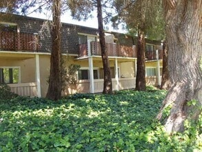 Building Photo - 1459 N Camino Alto