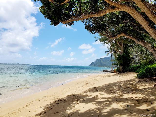 Primary Photo - 53-549-549 Kamehameha Hwy