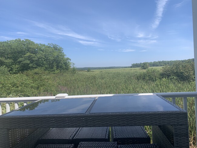 View from deck - 26 Walnut St