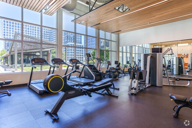 Gimnasio - Alta Waverly