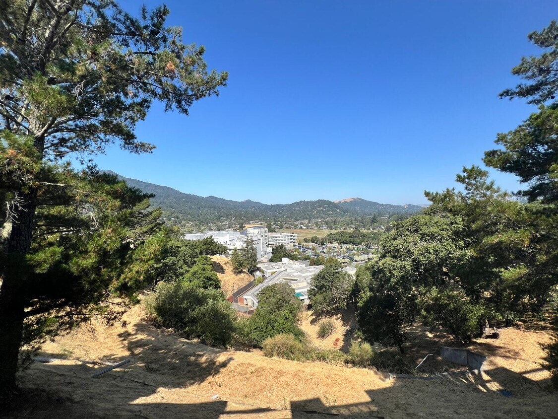 Primary Photo - TWO BEDROOM / TWO BATH CONDO IN SPYGLASS W...