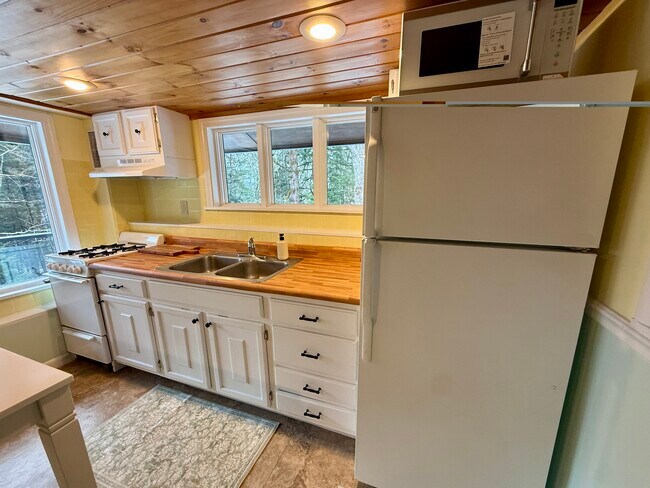 Bright kitchen with many windows - 111 North Rd